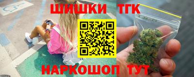 СК Бийск