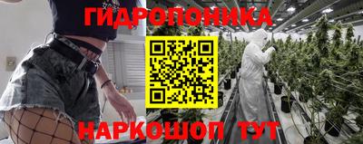 СК Бийск