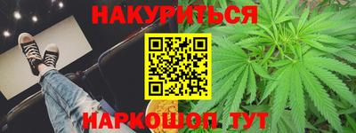 СК Бийск