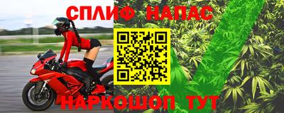 СК Бийск