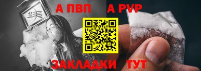 СК Бийск