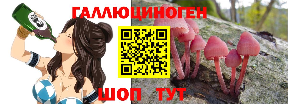 Карталы  Галлюциногенные грибы прущие грибы  Вход с VPN 